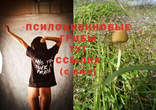 марки nbome Богородицк