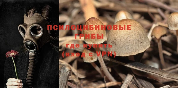 mdma Бородино