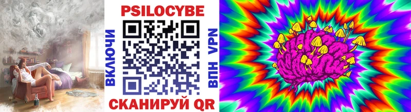 Псилоцибиновые грибы Psilocybine cubensis  darknet официальный сайт  Гороховец  наркота 